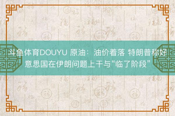 斗鱼体育DOUYU 原油：油价着落 特朗普称好意思国在伊朗问题上干与“临了阶段”