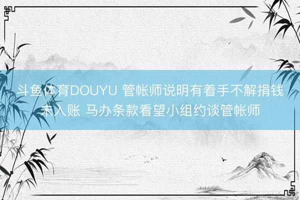 斗鱼体育DOUYU 管帐师说明有着手不解捐钱未入账 马办条款看望小组约谈管帐师