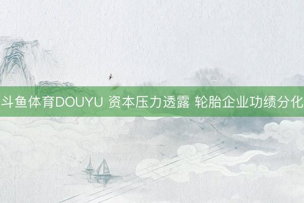 斗鱼体育DOUYU 资本压力透露 轮胎企业功绩分化