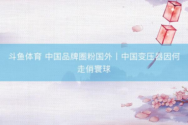 斗鱼体育 中国品牌圈粉国外丨中国变压器因何走俏寰球