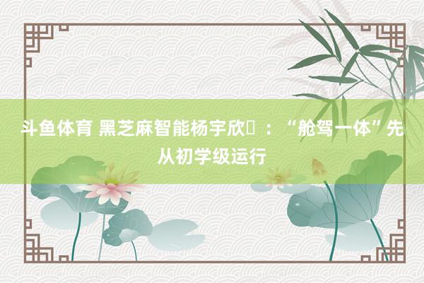 斗鱼体育 黑芝麻智能杨宇欣：“舱驾一体”先从初学级运行