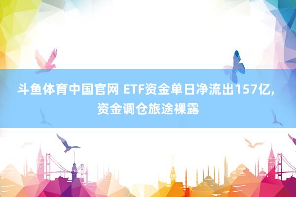 斗鱼体育中国官网 ETF资金单日净流出157亿， 资金调仓旅途裸露
